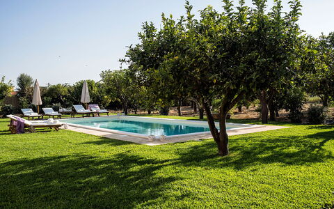 Casa Colore - Siracusa, Sicilia: Plante, Himmel, Vand, Bygning, Træ, Svømmepøl, Skygge, Naturlige Landskab, Fritid, Græs