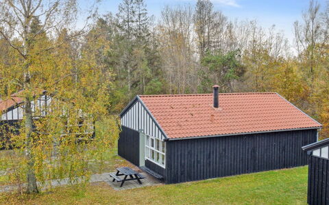 Rubi - 250M from the Sea: Græs, Græs-, Landskab, Økoregion, Almindeligt, Plantesamfund, Land Lot, Udendørs Møbler, Prærie, Shrubland