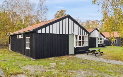 Rubi - 250M from the Sea: Græs, Græs-, Landskab, Økoregion, Almindeligt, Plantesamfund, Land Lot, Udendørs Møbler, Prærie, Shrubland