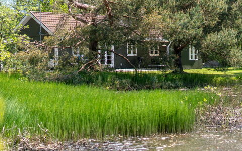 Smilla - 300M from the Sea: Træ, Tag, Arkitektur, Hjem, Hus, Sommerhus, Sidespor, Hårdttræ, Hældning, Estate