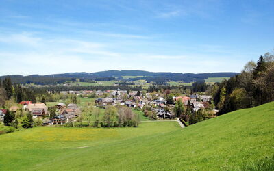 Hinterzarten 200 - Winterhalde, Baden-Württemberg, Tyskland - Freiburg 200.5