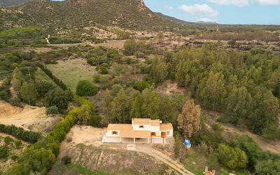 Eucalipto - Muravera, Sardinien, Italien