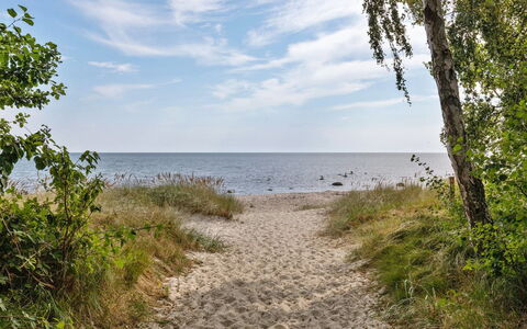 Solfred - 200M from the Sea