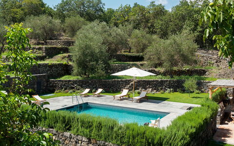 Villa Tranquilla - Randazzo, Sicilia: Plante, Vand, Plantesamfund, Naturlige Landskab, Himmel, Svømmepøl, Skygge, Sky, Græs, Landskab