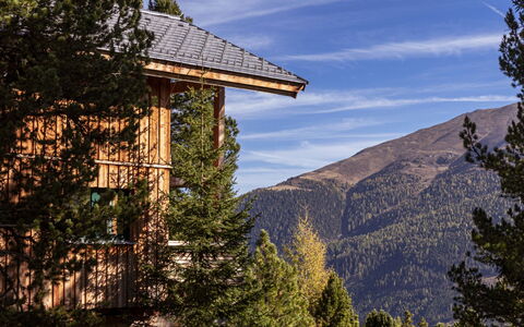 Feriebolig:&nbsp;Superior # 6 mit Sauna & Hot Tub 160.6