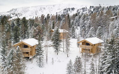 Feriebolig:&nbsp;Superior # 1 Sauna & Hot Tub 160.2