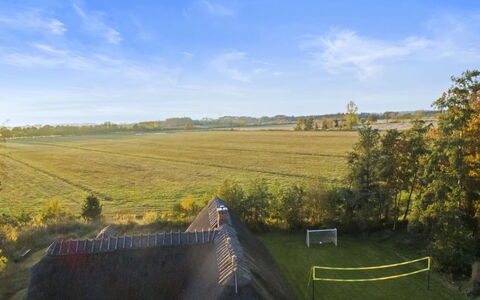 Krok - 1.2Km from the Sea: Græs, Græs-, Almindeligt, Landskab, Mark, Økoregion, Land Lot, Landdistrikt, Prærie