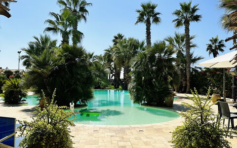 Villa Rosarno: Plante, Vand, Himmel, Blomsterkrukke, Træ, Azure, Svømmepøl, Arecales, Vegetationen, Fritid