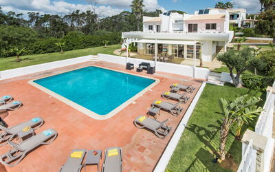 Aladdin - Vip Properties