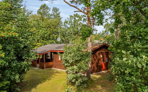 Friis - 100M from the Sea: Træ, Træ, Sommerhus, Busk, Hus, Landdistrikt, Land Lot, Forår, Have, Garden Bygninger