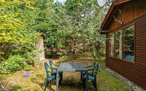Friis - 100M from the Sea: Blad, Træ, Afdeling, Busk, Sommerhus, Bagagerum, Kvist, Have, Garden Bygninger, Gård