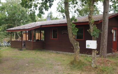 Friis - 100M from the Sea