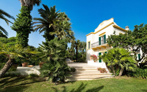 Casa Fiore - Salemi, Sicilia: Himmel, Plante, Bygning, Træ, Vindue, Arecales, Boligområde, Landskab, Facade, Urban Design
