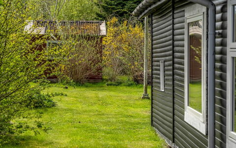 Elisa - 600M from the Sea: Græs, Busk, Sidespor, Sommerhus, Land Lot, Landdistrikt, Garden Bygninger, Bunddække, Have