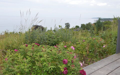 Seetje - 200M from the Sea: Træ, Tag, Arkitektur, Hjem, Hus, Sommerhus, Sidespor, Hårdttræ, Hældning, Estate