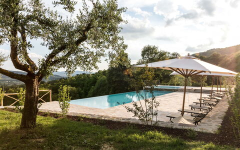 Villa Niccione: Plante, Vand, Himmel, Sky, Svømmepøl, Skygge, Træ, Land Lot, Udendørs Møbler, Fritid