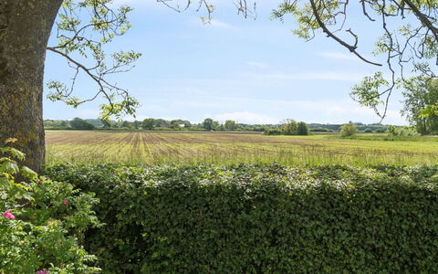 Adrienne - 6.4Km from the Sea: Møbel, Indretning, Couch, Gulvbelægning, Etage, Stue, Værelse, Bord, Stol, Lejlighed