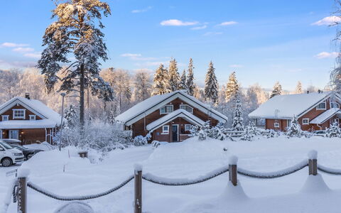 Villa Aava: Træ, Bank, Hus, Sommerhus, Sø, Dam, Skov, Bjælkehytte