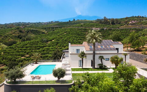 Villa Decoro - Mascali, Sicilia: Himmel, Sky, Ejendom, Bygning, Plante, Azure, Botanik, Træ, Arkitektur, Vegetationen