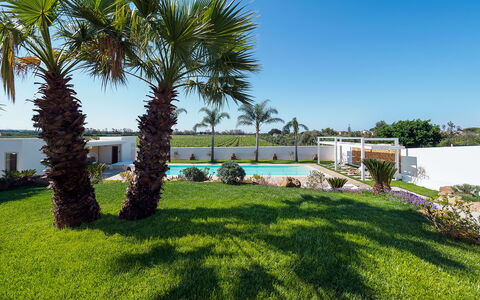 Casa Ocra - Misiliscemi, Sicilia: Himmel, Plante, Træ, Land Lot, Vegetationen, Arecales, Skygge, Terrestrisk Plant, Landskab, Græs