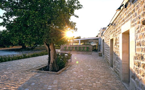 Casa Masseria - Scicli, Sicilia: Plante, Himmel, Bygning, Vejbelægning, Træ, Gulvbelægning, Asfalt, Græs, Landskab, Vej