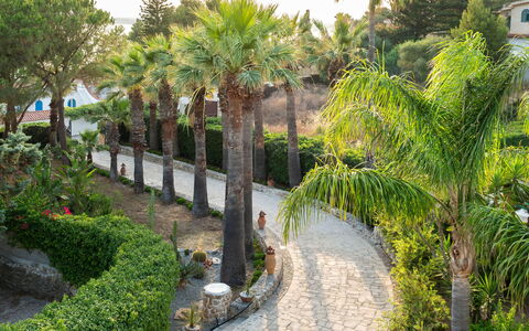 Villa Diamante - Siracusa, Sicilia: Plante, Plantesamfund, Bygning, Botanik, Træ, Vegetationen, Arecales, Vindue, Terrestrisk Plant, Vedplante
