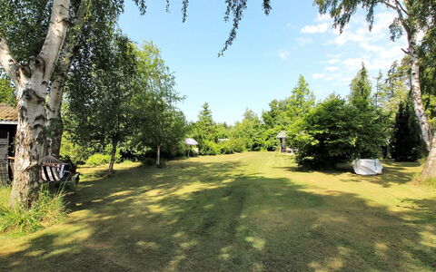 Elisa - 600M from the Sea: Træ, Græs, Busk, Land Lot, Have, Lawn, Parkere, Woodland, Skygge, Landscaping
