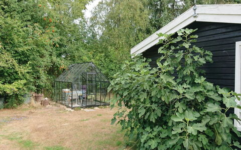Elisa - 600M from the Sea: Busk, Have, Backyard, Garden Bygninger, Gård, Skur, Landscaping, Plantation, Urt