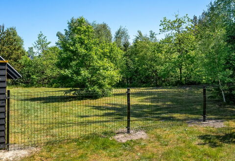 Jace - 900M from the Sea: Hegn, Land Lot, Trådhegn, Pasture, Eng, Home Fencing, Kædelink Fencing, Have, Lawn