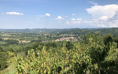 Bellavista