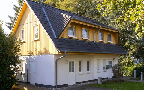 Schneider 2D: Plante, Bygning, Ejendom, Vindue, Træ, Hus, Gul, Træ, Boligområde