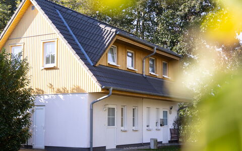 Schneider 2D: Bygning, Plante, Vindue, Blad, Natur, Hus, Gul, Træ, Træ, Sommerhus