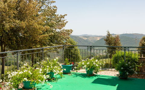 Villa Trivigno: Grøn, Forår, Blomsterkrukke, Have, Stol, Hegn, Skygge, Altan, Udendørs Møbler, Stueplante