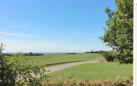 Albertine - 600M from the Sea: Tag, Hus, Land Lot, Hjem, Sommerhus, Estate, Garden Bygninger, Skygge, Bjælkehytte, Landscaping