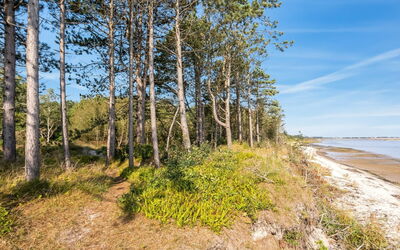 Amai - 100M from the Sea