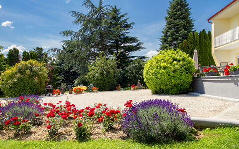 Cserszeg: Blomst, Plante, Himmel, Sky, Blad, Træ, Botanik, Naturlige Landskab, Vindue, Biome