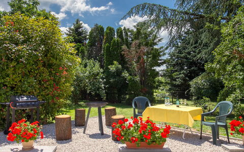Cserszeg: Blomst, Plante, Sky, Ejendom, Plantesamfund, Himmel, Stol, Blomsterkrukke, Træ, Botanik