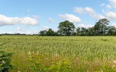 Thrine - 24Km from the Sea