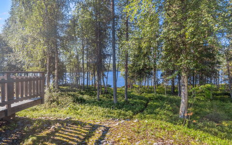 Pohjaslahdentie 17 B: Grøn, Træ, Natur, Naturligt Miljø, Blad, Naturlige Landskab, Vegetationen, Landskab, Plantesamfund