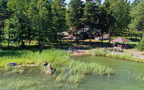 Paju 7: Krop Af Vand, Træ, Bank, Sø, Dam, Bredzonens, Naturreservat