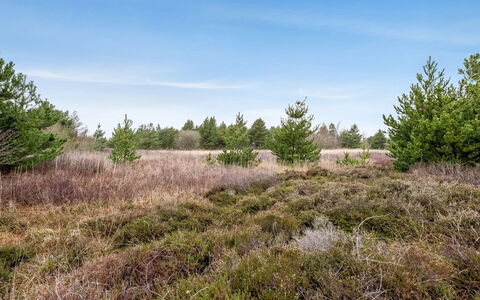 Elpida - 2Km from the Sea
