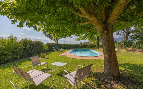 Villa Marconi: Plante, Plantesamfund, Møbel, Bord, Træ, Skygge, Udendørs Møbler, Land Lot, Vegetationen, Stol