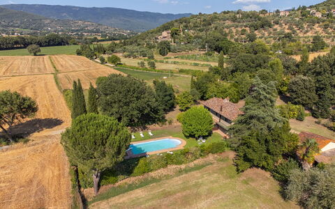 Villa Marconi: Plante, Sky, Plantesamfund, Himmel, Økoregion, Naturlige Landskab, Naturligt Miljø, Træ, Vegetationen, Land Lot