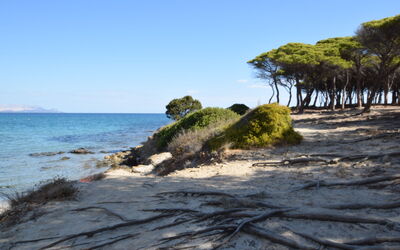 Appartamento Michela In Budoni, Sardegna Vista Mar