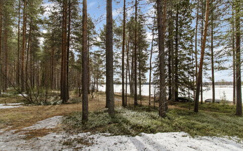 Keloaitta: Sommerhus, Hus, Hjem, Garden Bygninger, Sidespor, Bjælkehytte, Stuehus, Estate, Skur, Gård