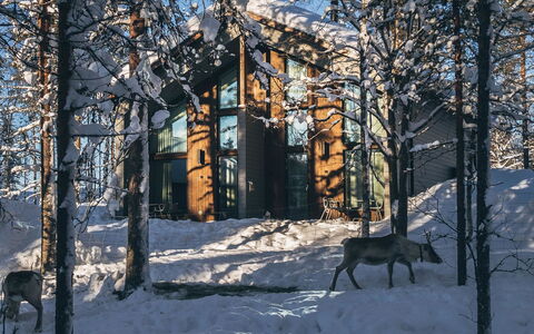 Hako B: Landdistrikt, Hill Station, Landsby, Bjergkæde, Dal, Bjerglandsby, Alps, Eco Hotel, Altan, Hotel
