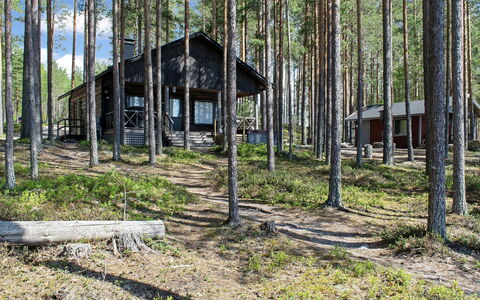 Kultahiekka: Træ, Træ, Woodland, Skov, Sommerhus, Bagagerum, Lund, Bjælkehytte, Skur