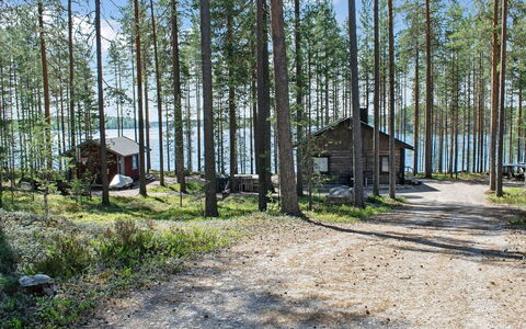 Kultahiekka: Træ, Træ, Sommerhus, Woodland, Land Lot, Skov, Skur, Bagagerum, Bjælkehytte