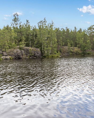 Kuusikko