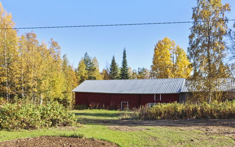 Laattajan Hirsipirtti: Græs, Træ, Grøn, Blad, Landskab, Landdistrikt, Land Lot, Almindeligt, Lade, Sommerhus